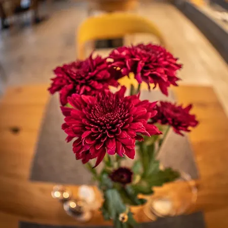 Novy Kastiel - Self Check-in Hotel 3*